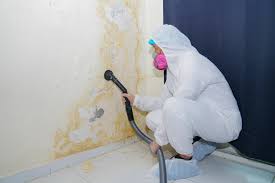 Best Biohazard Mold Removal  in Newton, IL